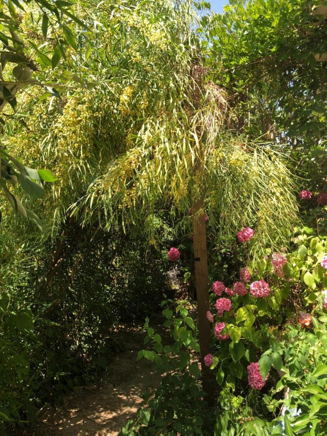 L Atypique Bed & Breakfast L'Ile-d'Olonne Exterior photo